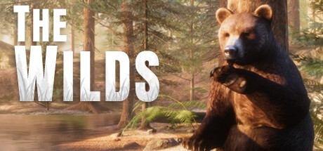 غلاف لعبة The WILDS
