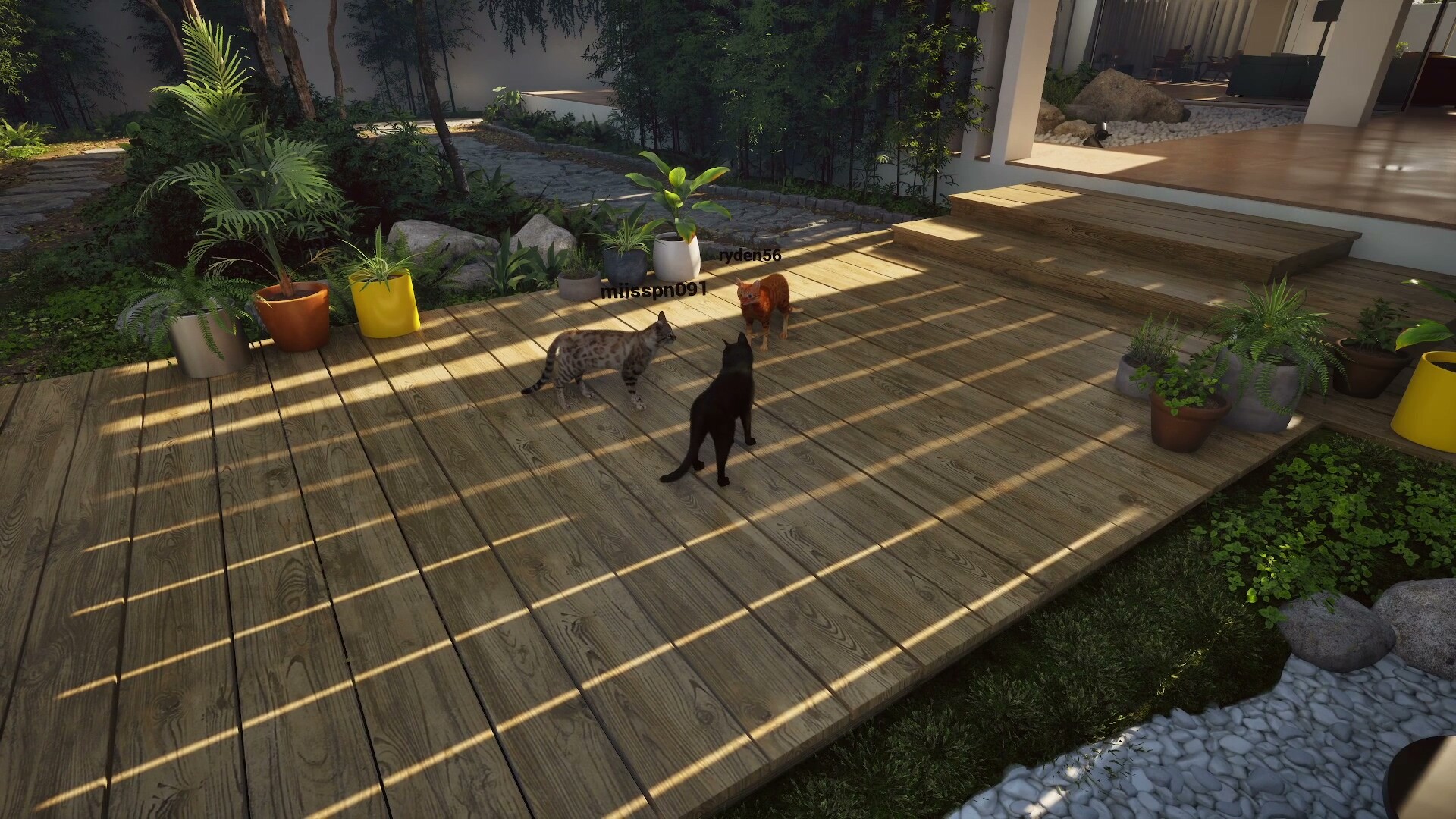 Whiskers of Yesterday screenshot 2
