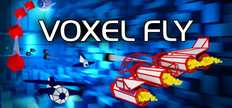 Cover art from Voxel Fly