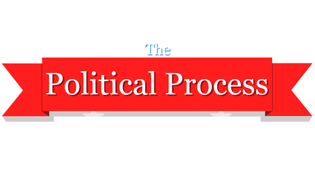 The Political Process