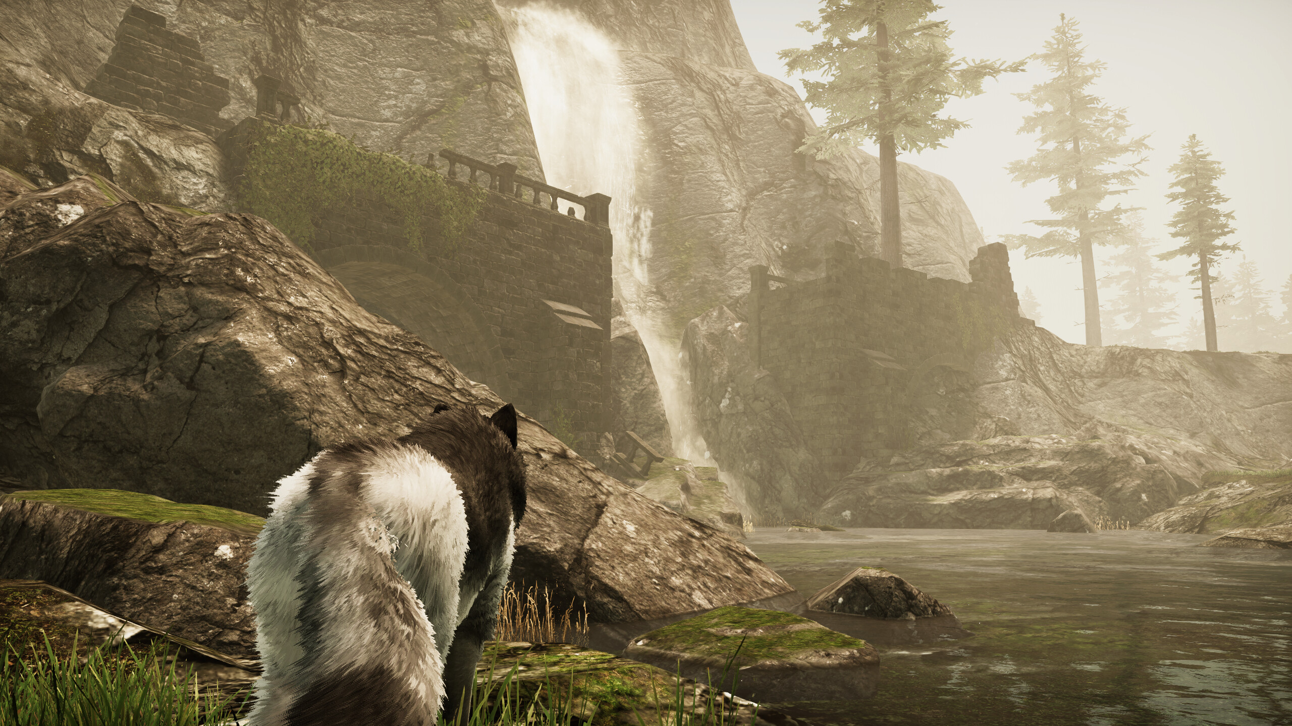 Tale Of A Wolf trailer