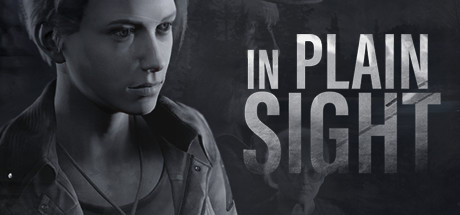 Cover art from In Plain Sight
