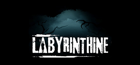 Где находятся сохранения к игре Labyrinthine