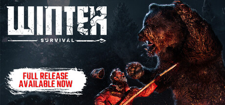 غلاف لعبة Winter Survival