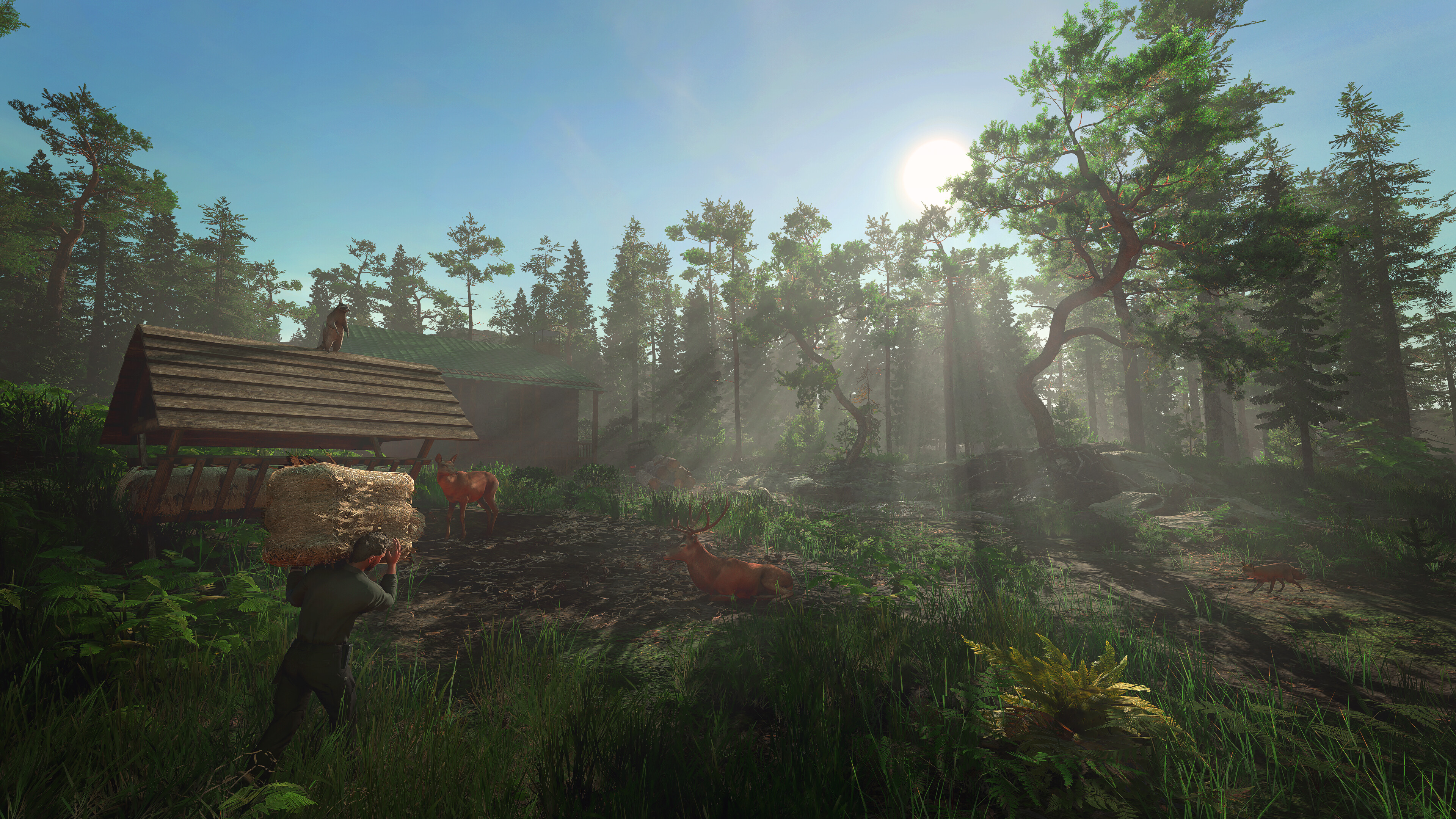 Forester Simulator screenshot 3