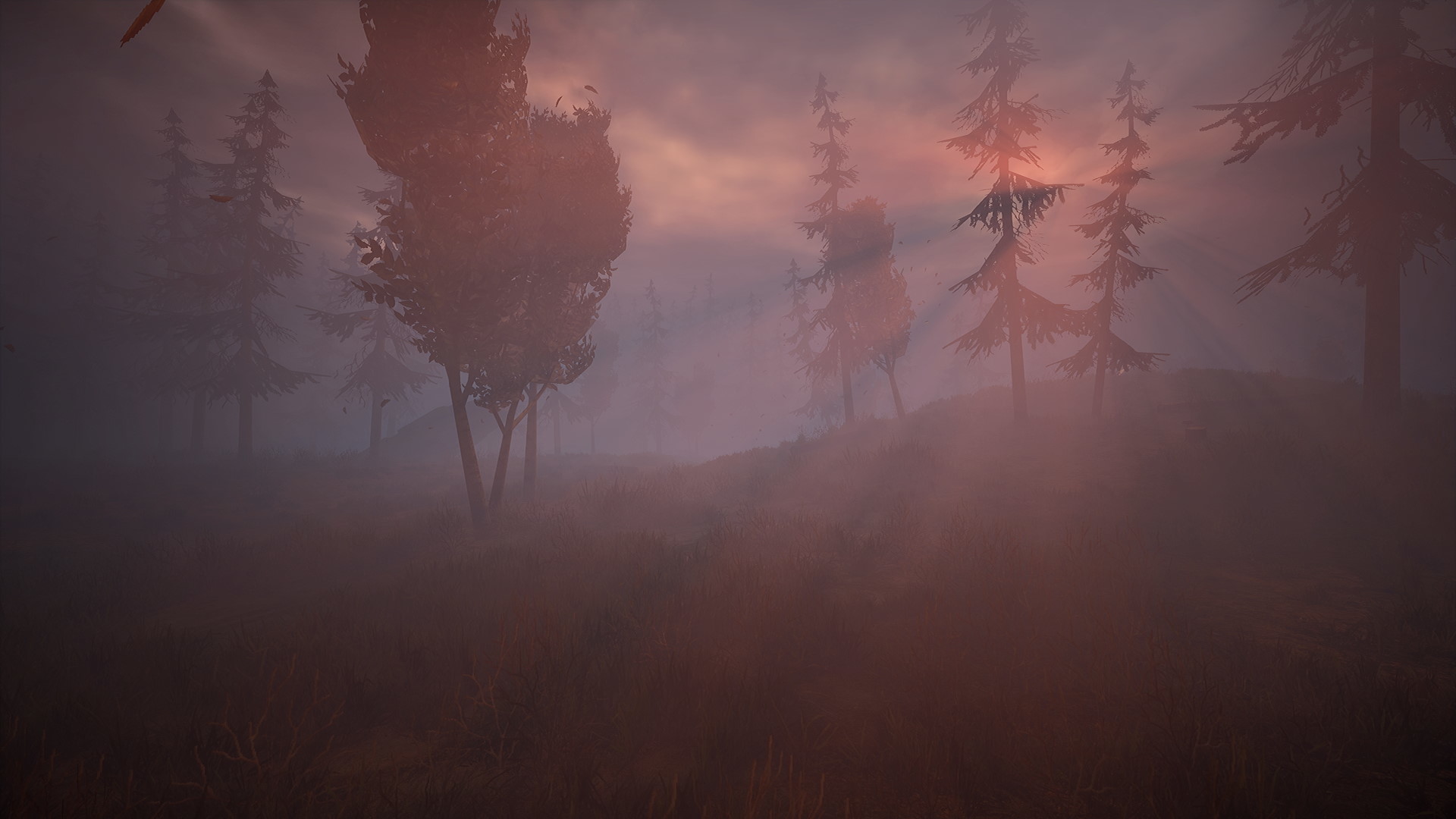 Wandering Wolf screenshot 4