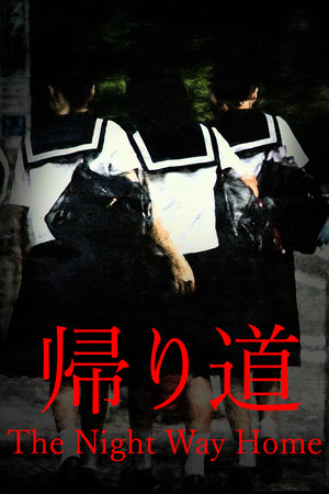 The Night Way Home | 帰り道