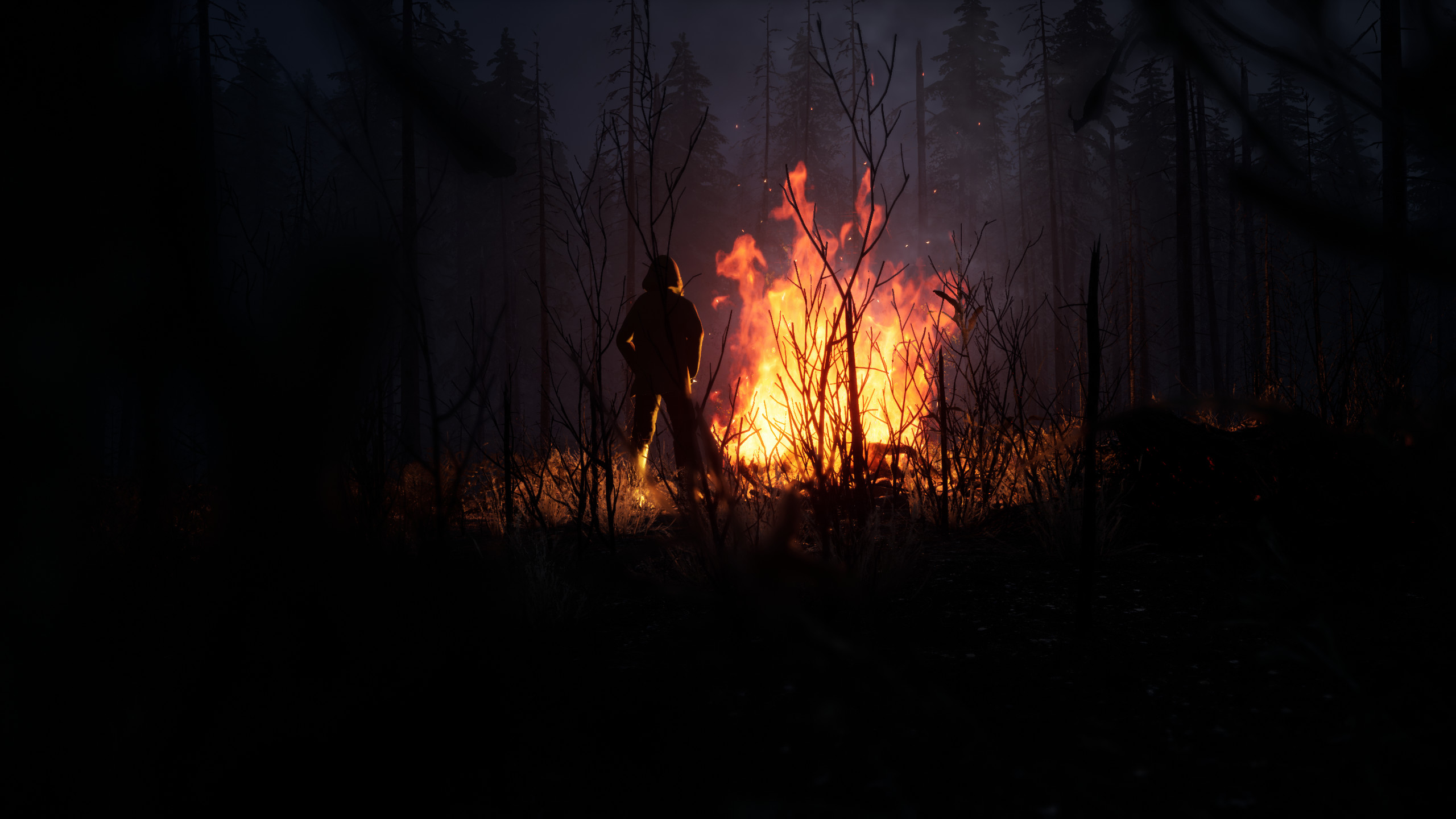 TUNGUSKA: A Call in the Woods screenshot 4