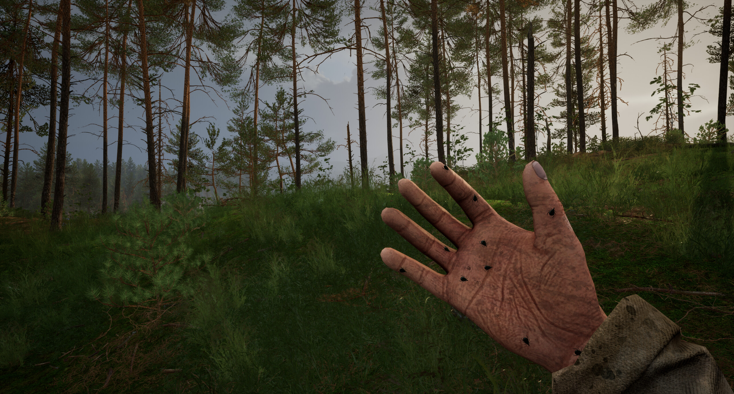TUNGUSKA: A Call in the Woods screenshot 3