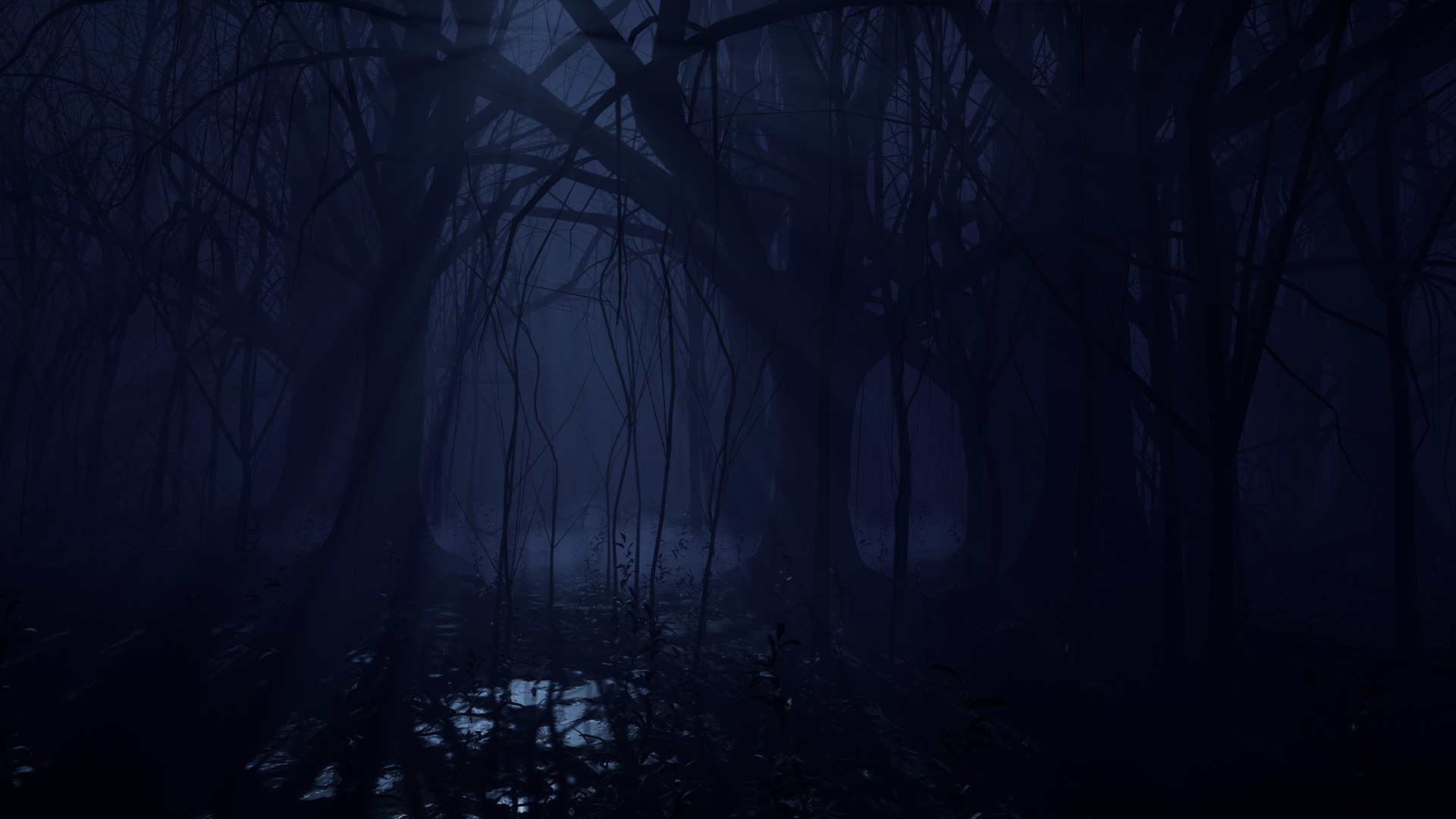 Solomon Division screenshot 4