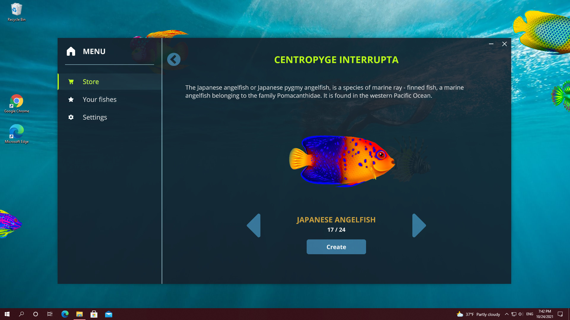 Screenshot