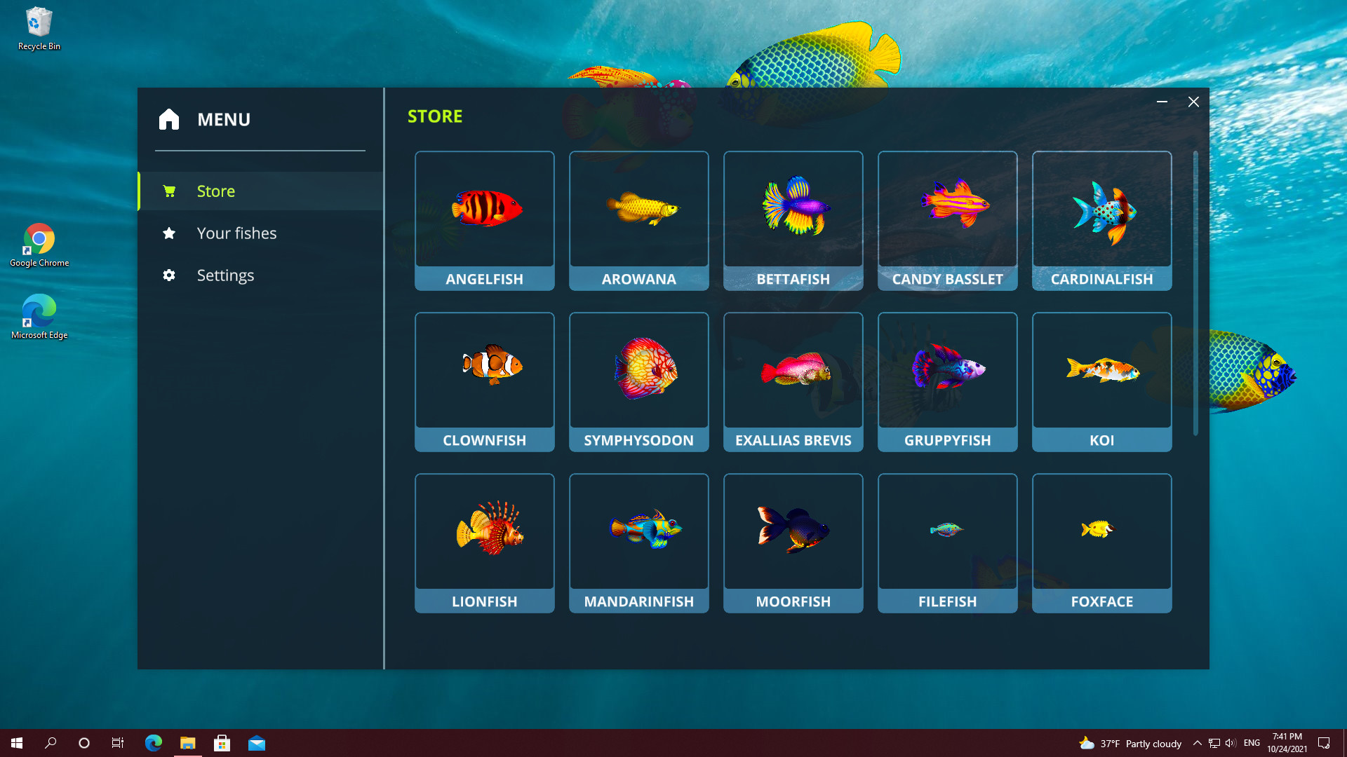 Screenshot