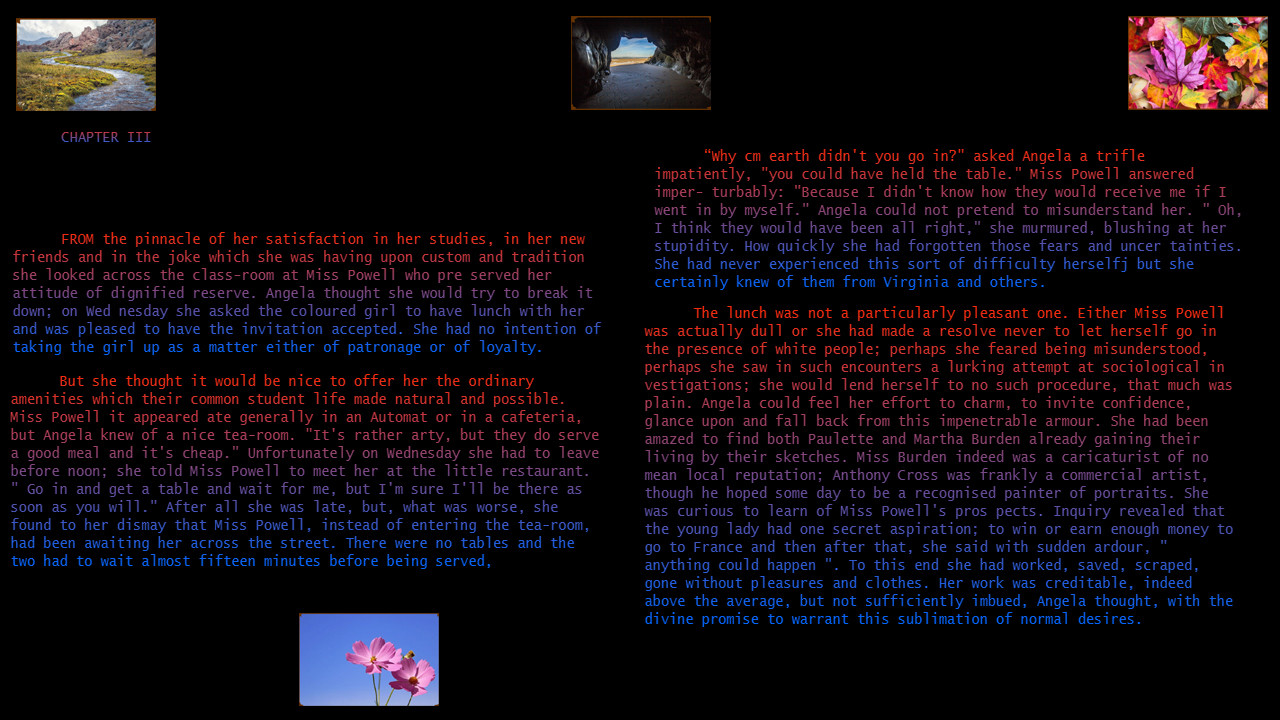 Plum Bun Reformatted screenshot 4