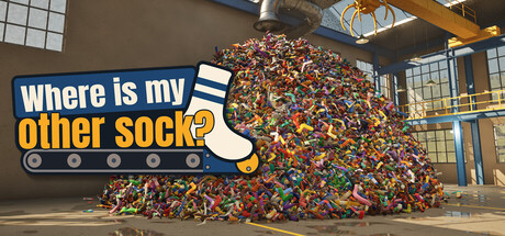 Cover art from Where is my other sock?