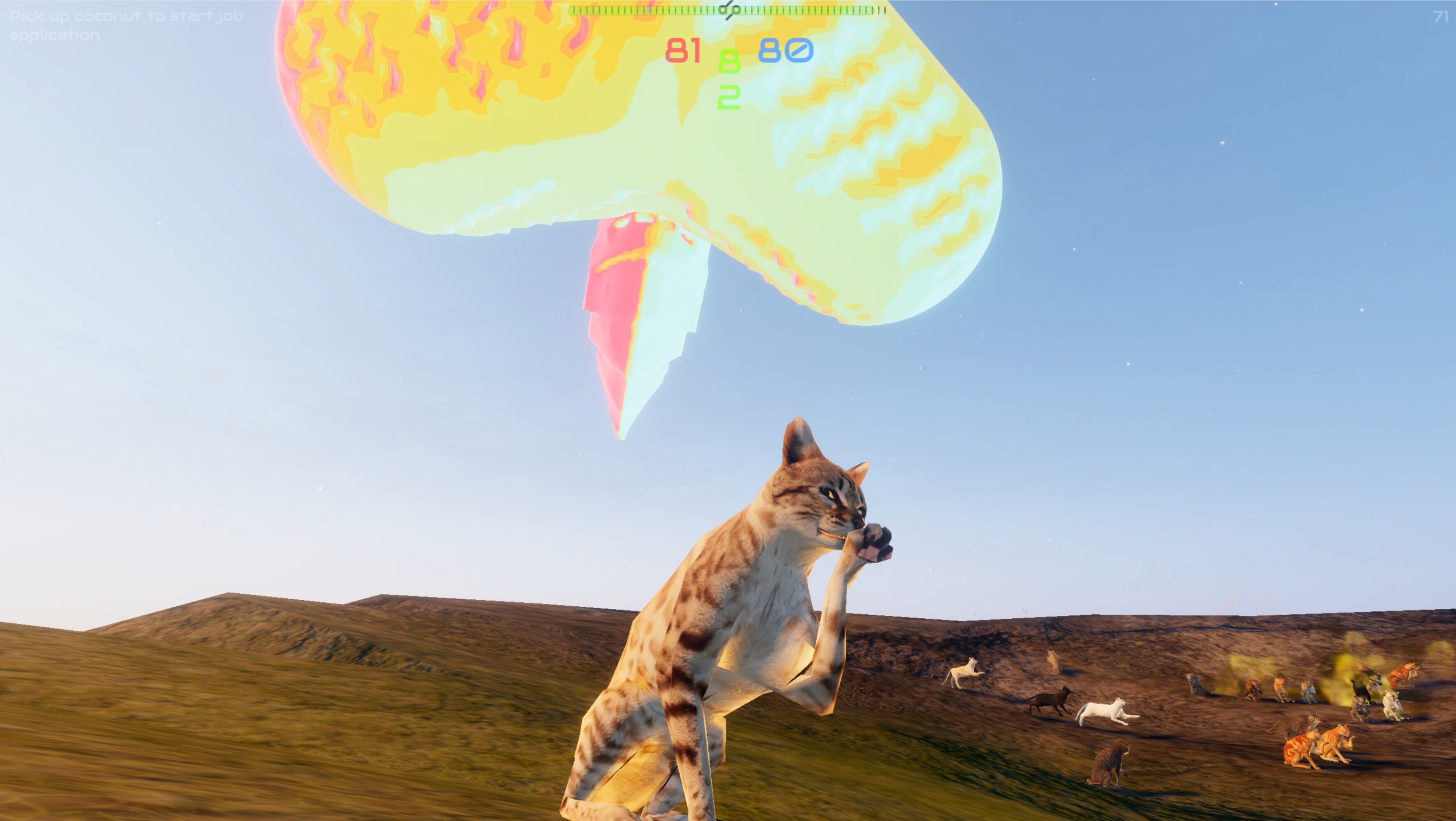 Cats Cradle trailer