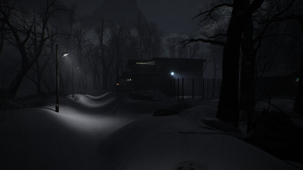Leak screenshot 3