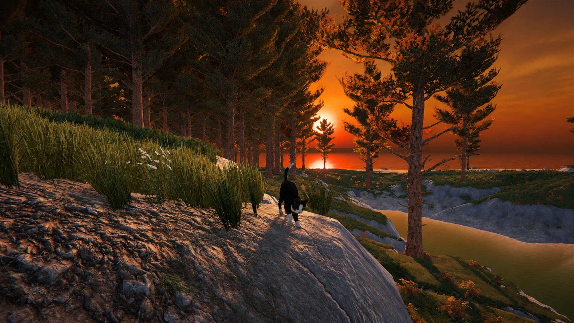 Cat Life screenshot 3