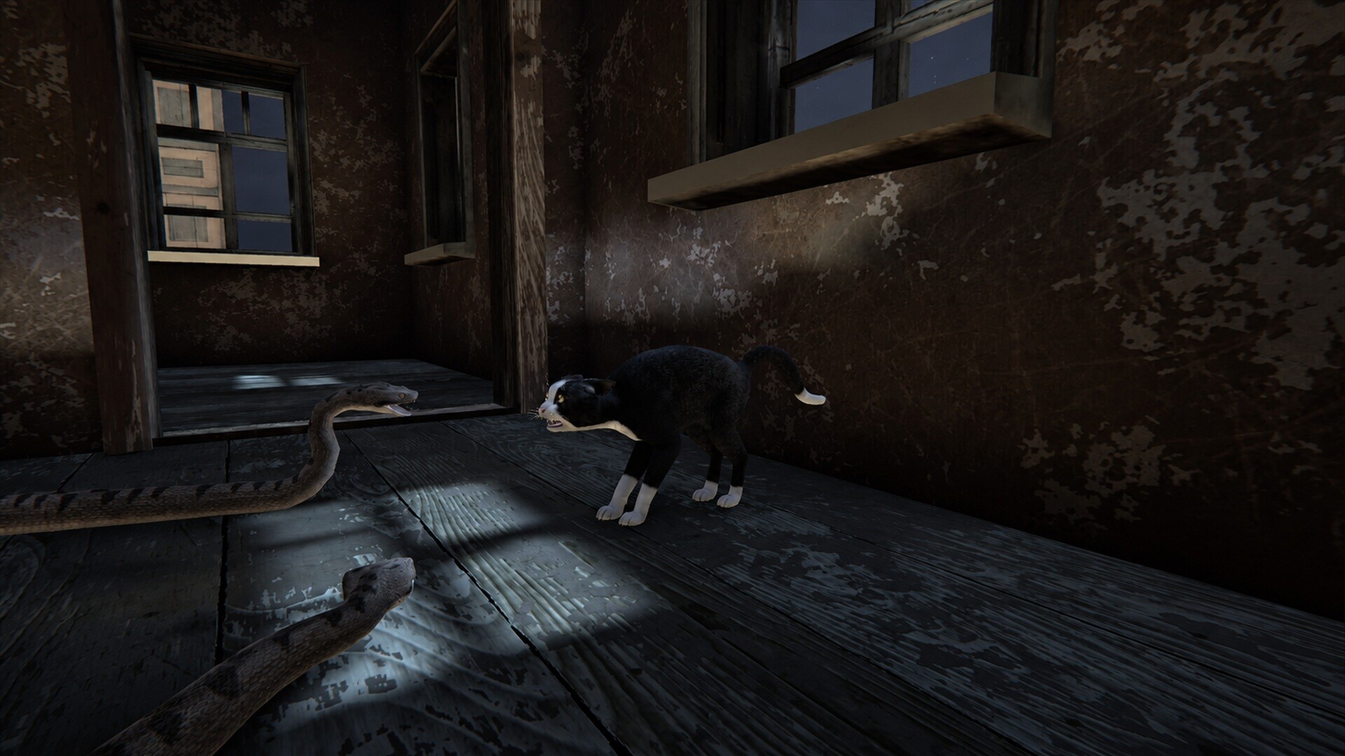 Cat Life screenshot 4