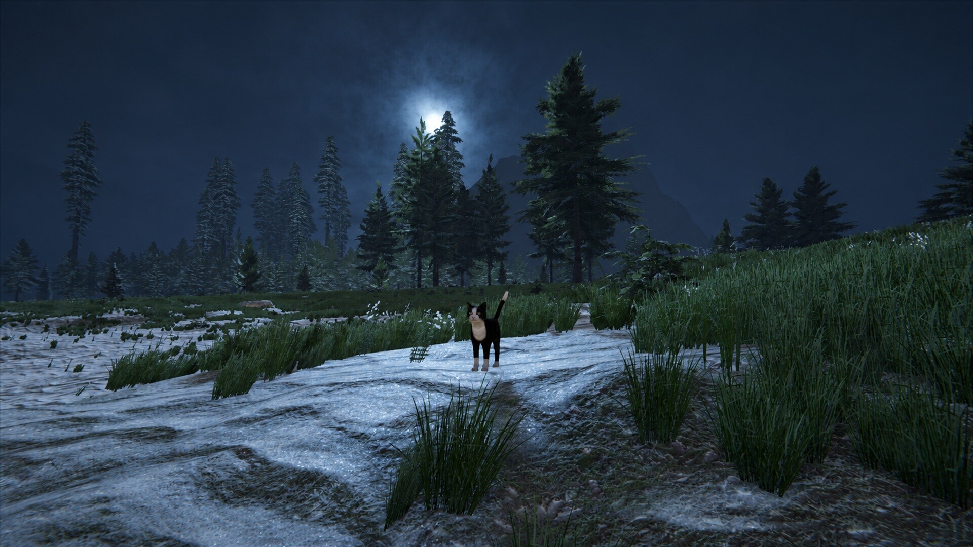Cat Life screenshot 5