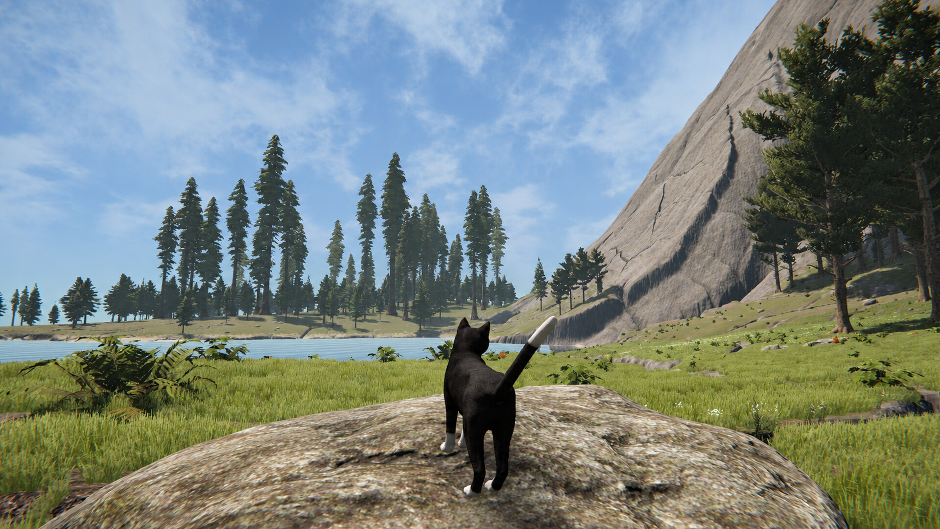 Cat Life trailer