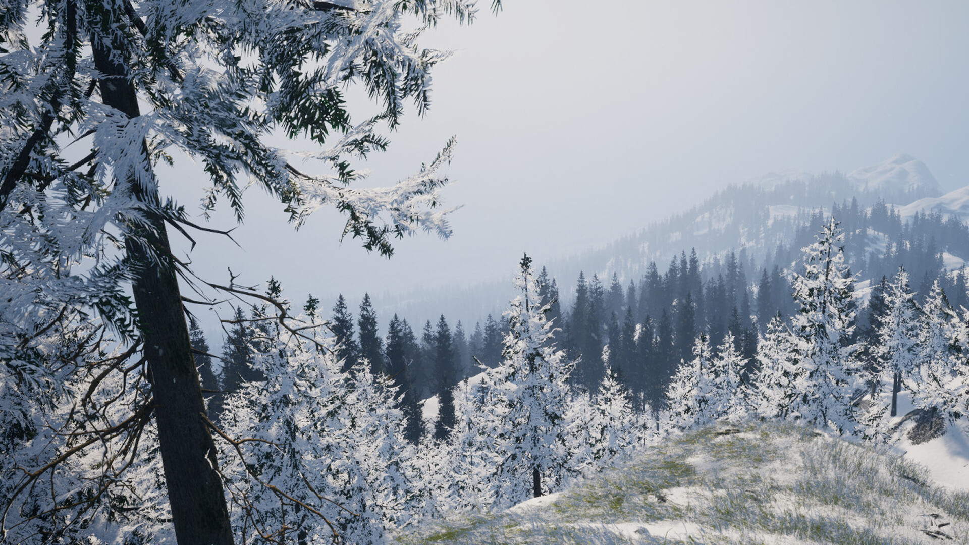 Wildwood: Hearth & Horizon screenshot 4