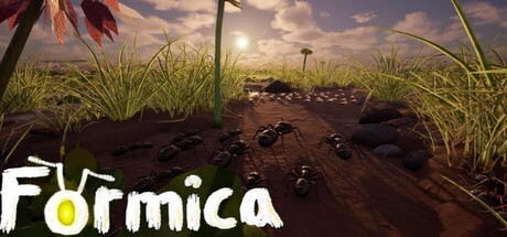 Cover art from Formica