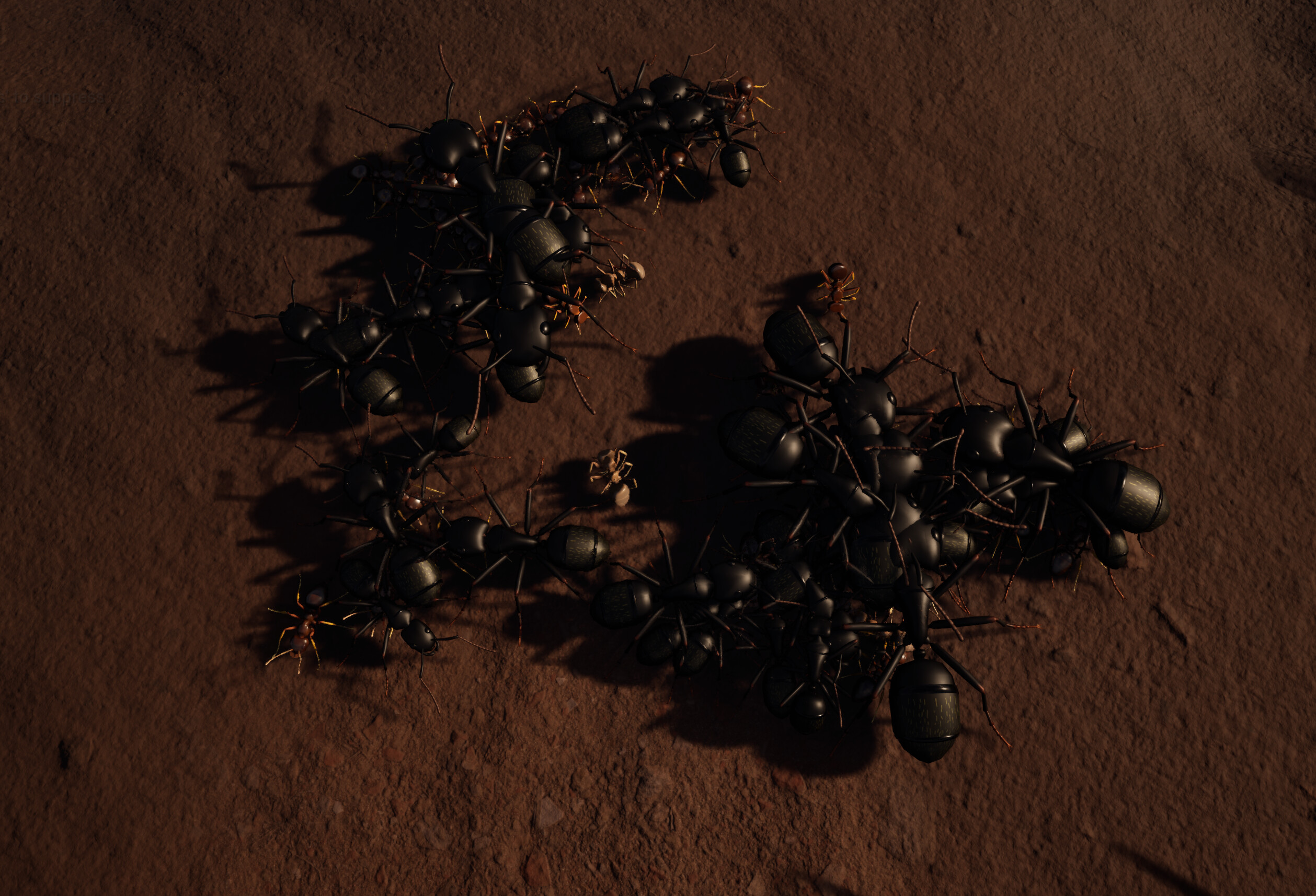 Formica screenshot 4