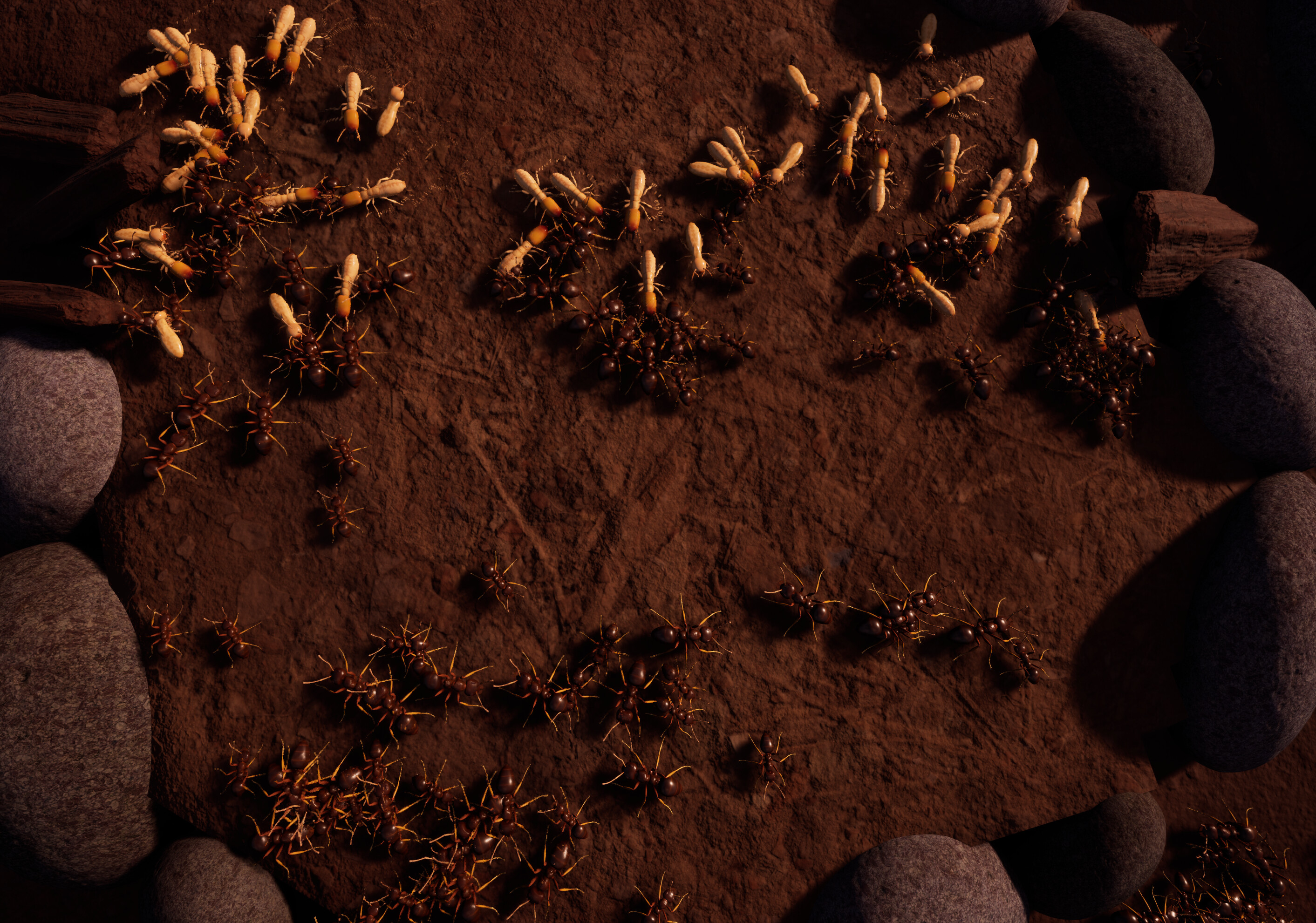 Formica screenshot 3