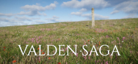 Cover art from Valden Saga