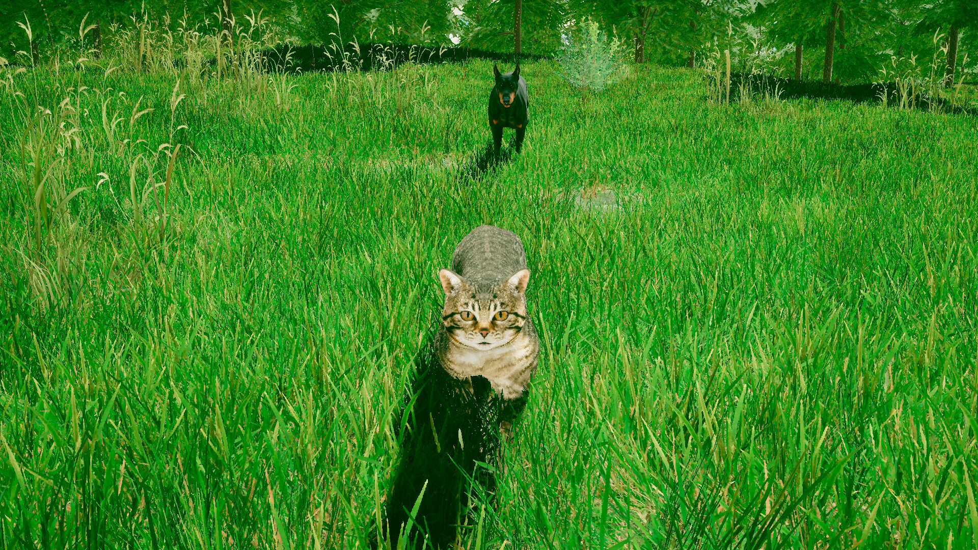 CATS GAME: stray cat, pet kitty, dog simulation adventure screenshot 2