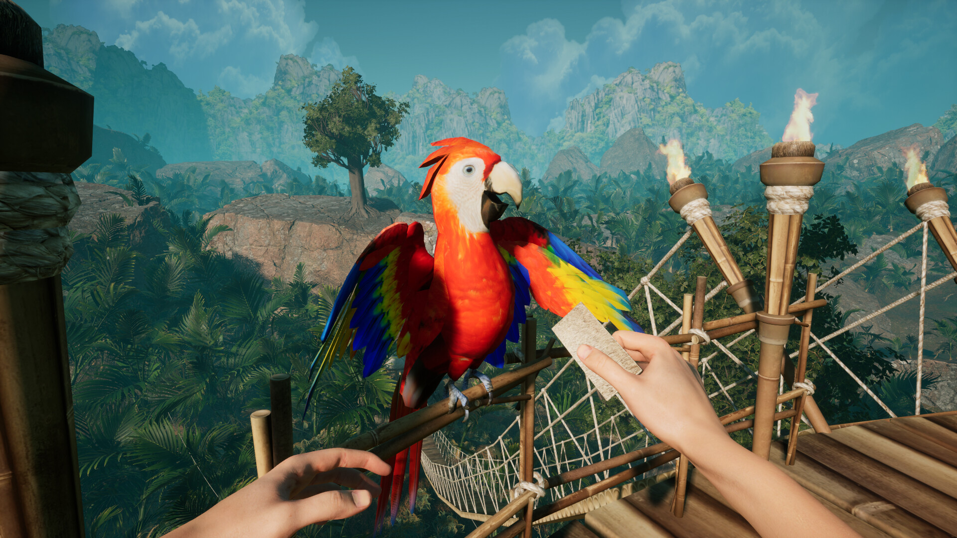 Canopy screenshot 3