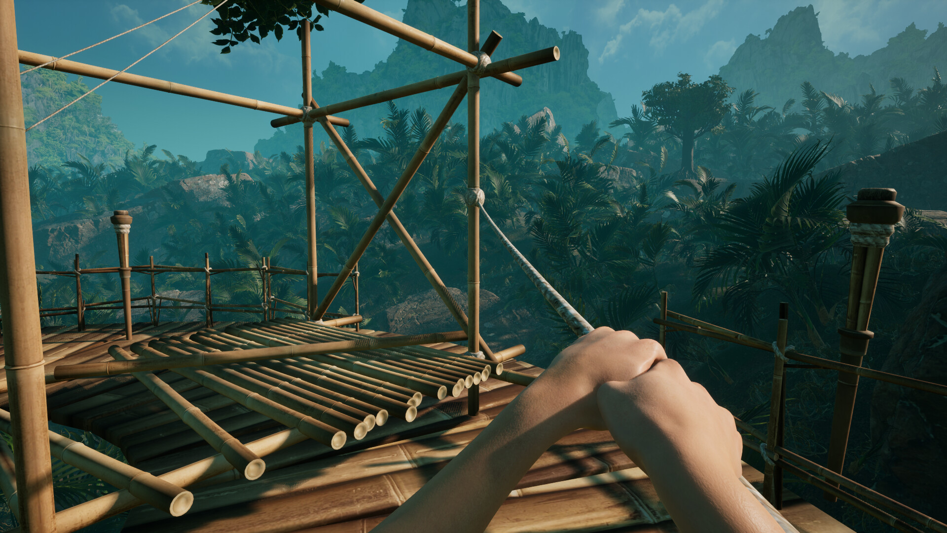 Canopy screenshot 2