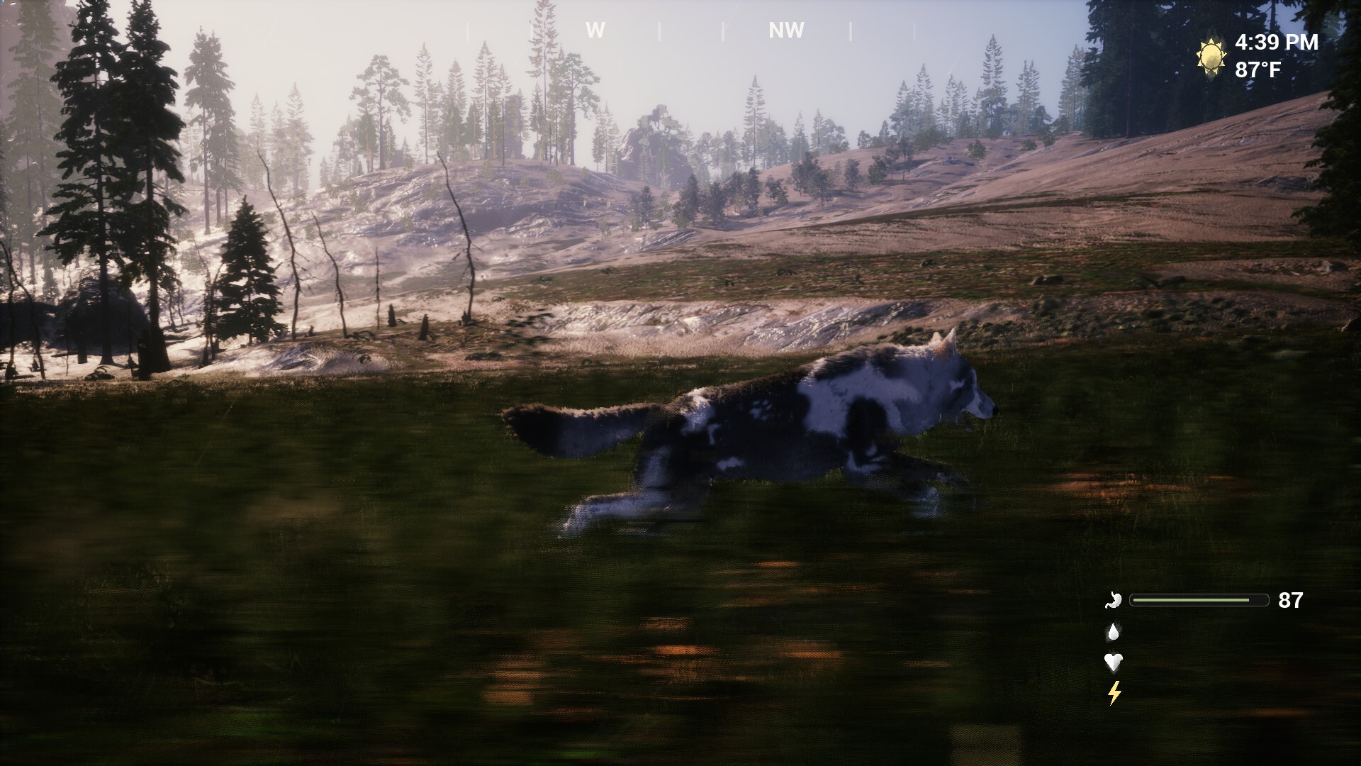 Untamed Kingdom screenshot 3