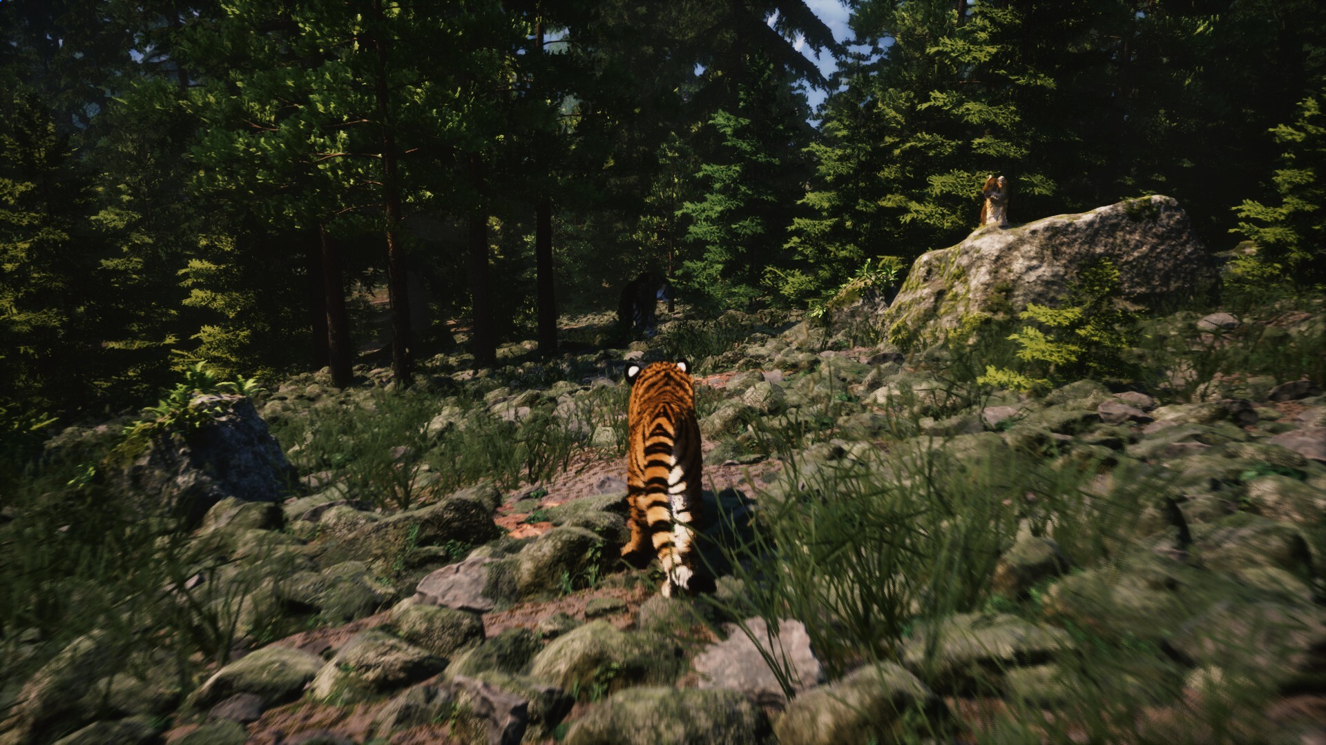 Untamed Kingdom trailer