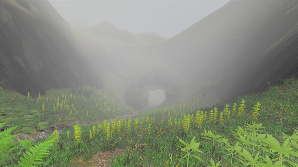 Wassermann screenshot 4
