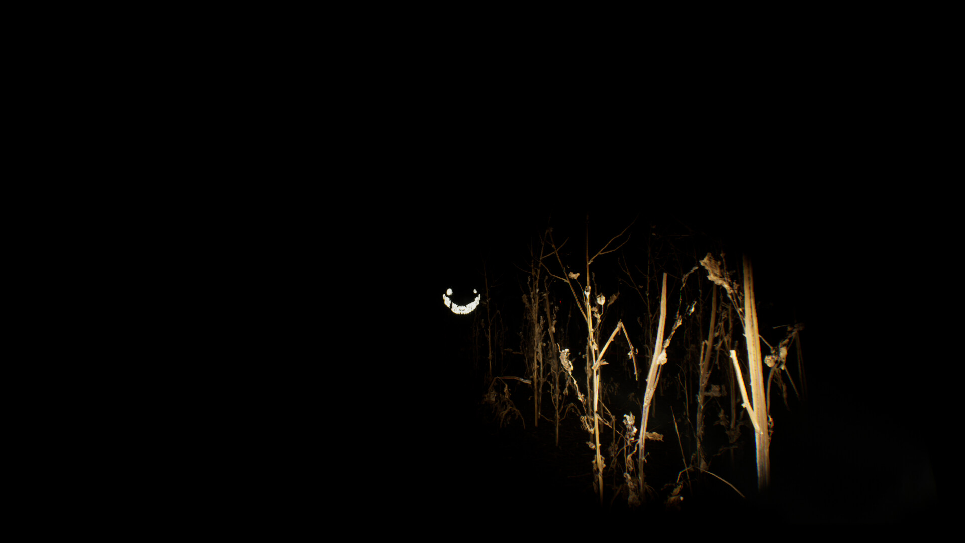 Adrift in the Backrooms screenshot 4