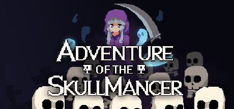 Cover art from Adventure of the Skullmancer