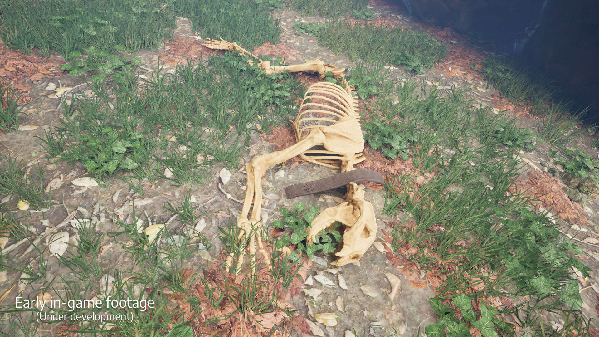 Camp screenshot 5
