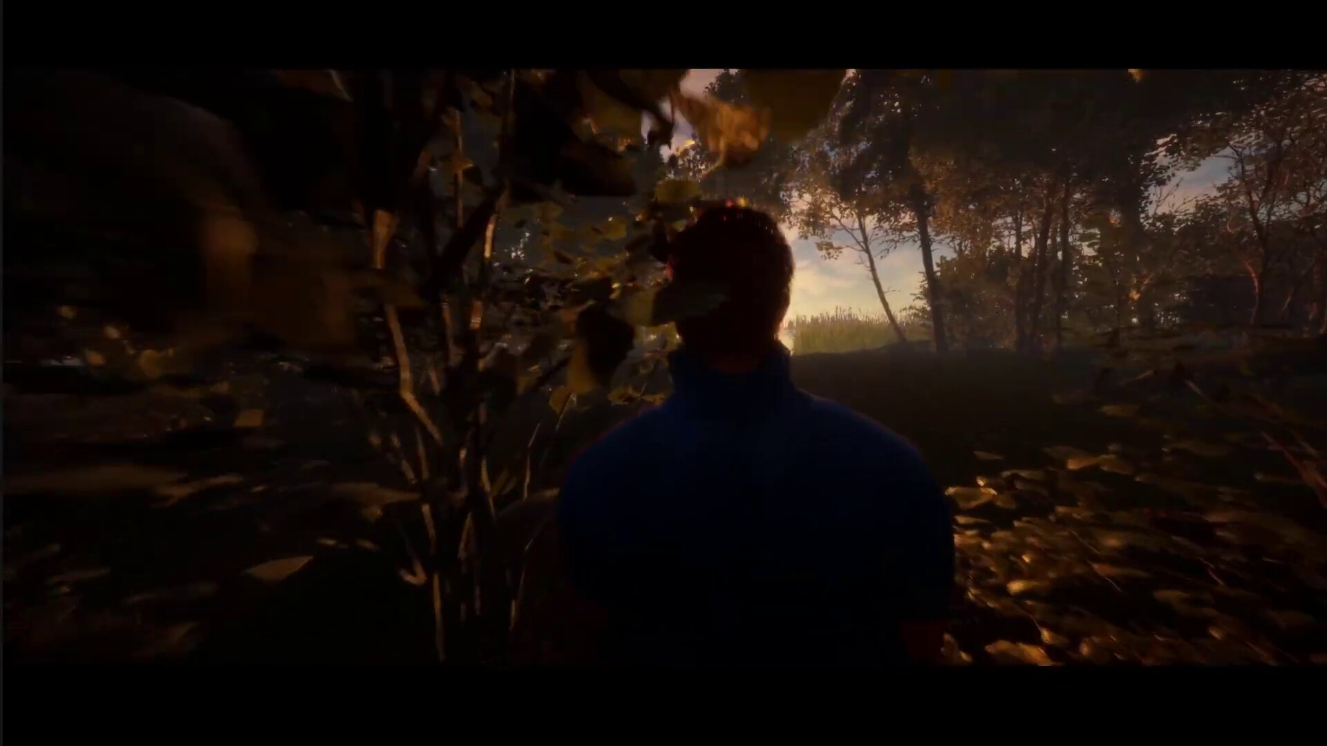 The Shortest Night trailer
