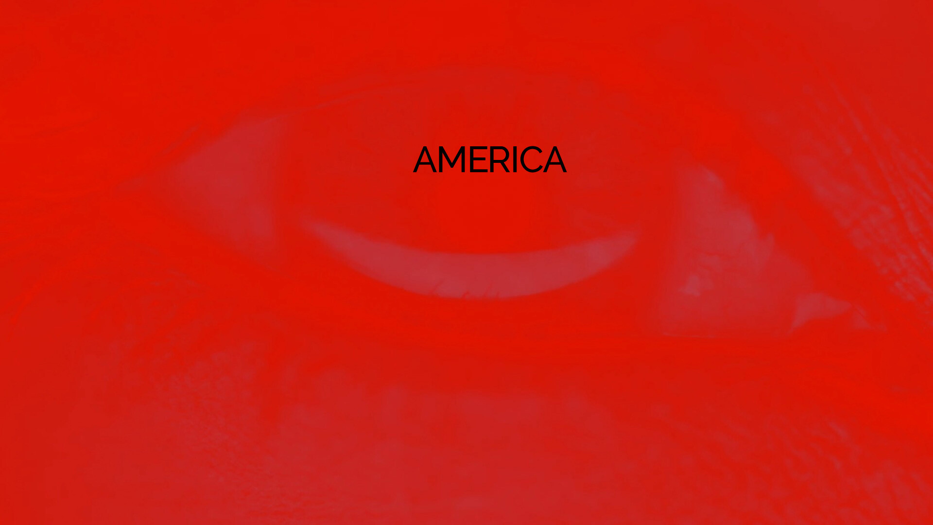Project D████ screenshot 5