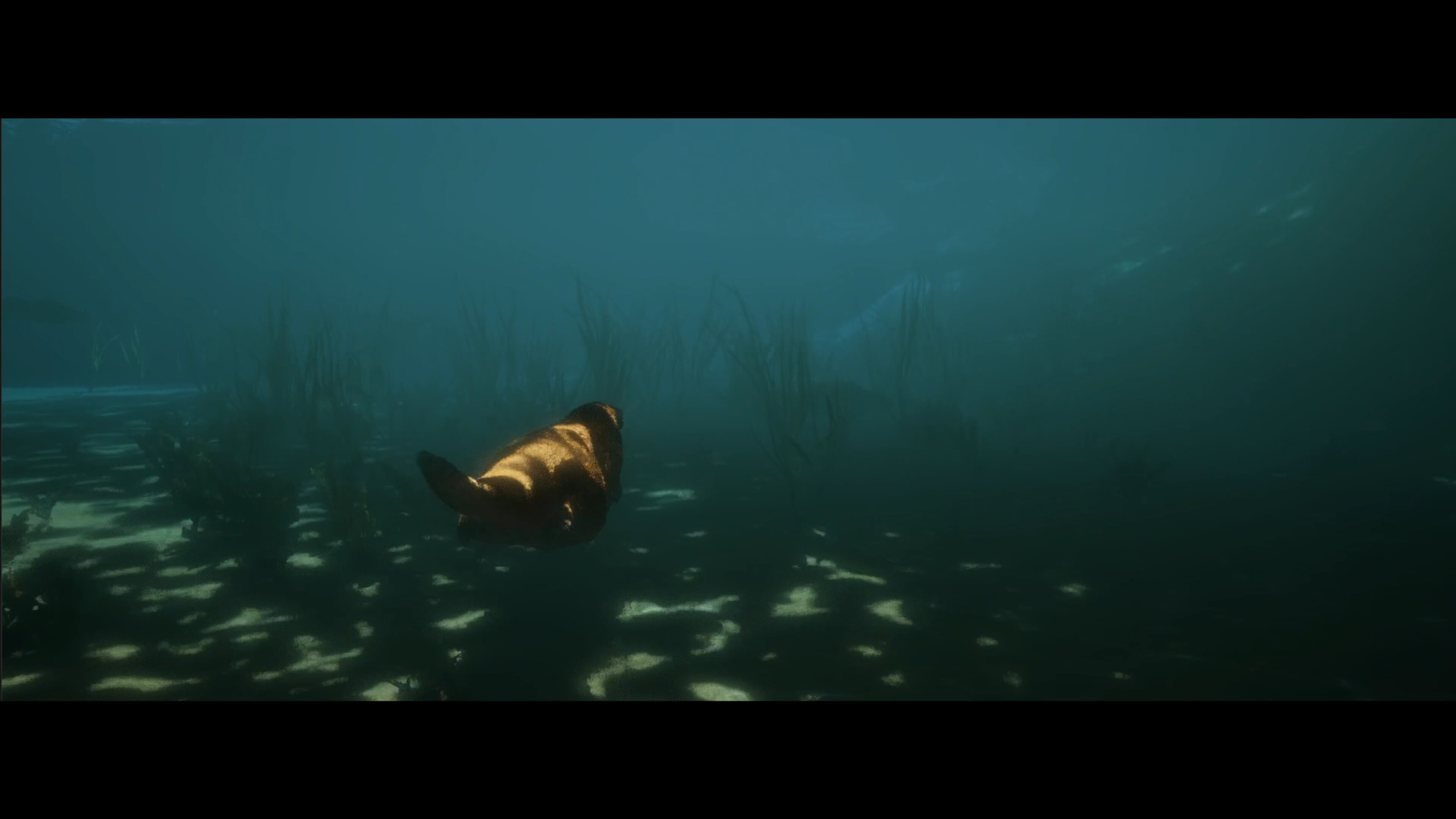 Dear, Lake screenshot 4