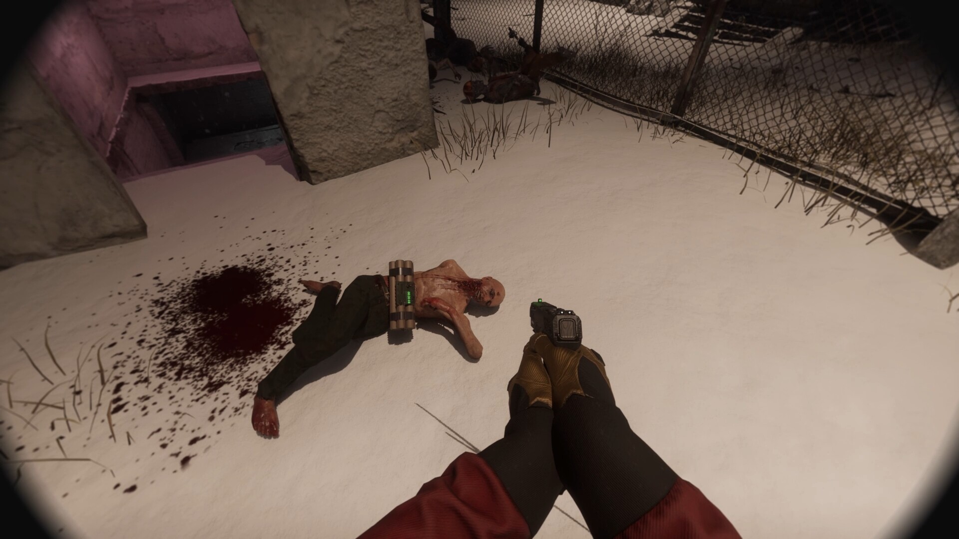 Screenshot 10