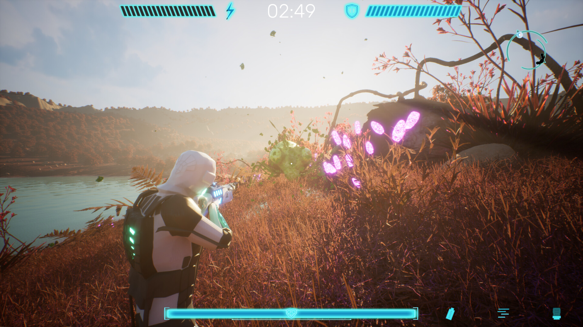 Beetle Nest trailer