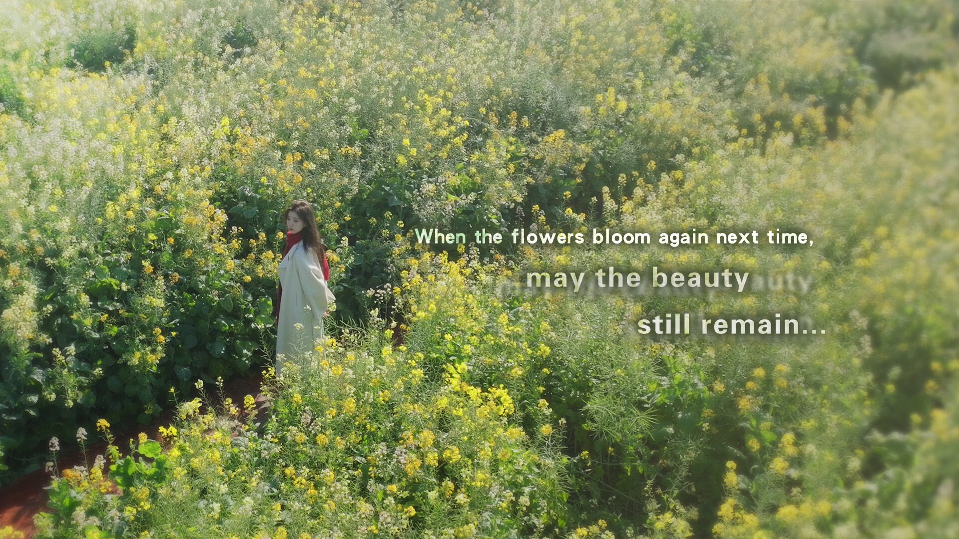 Trailer poster