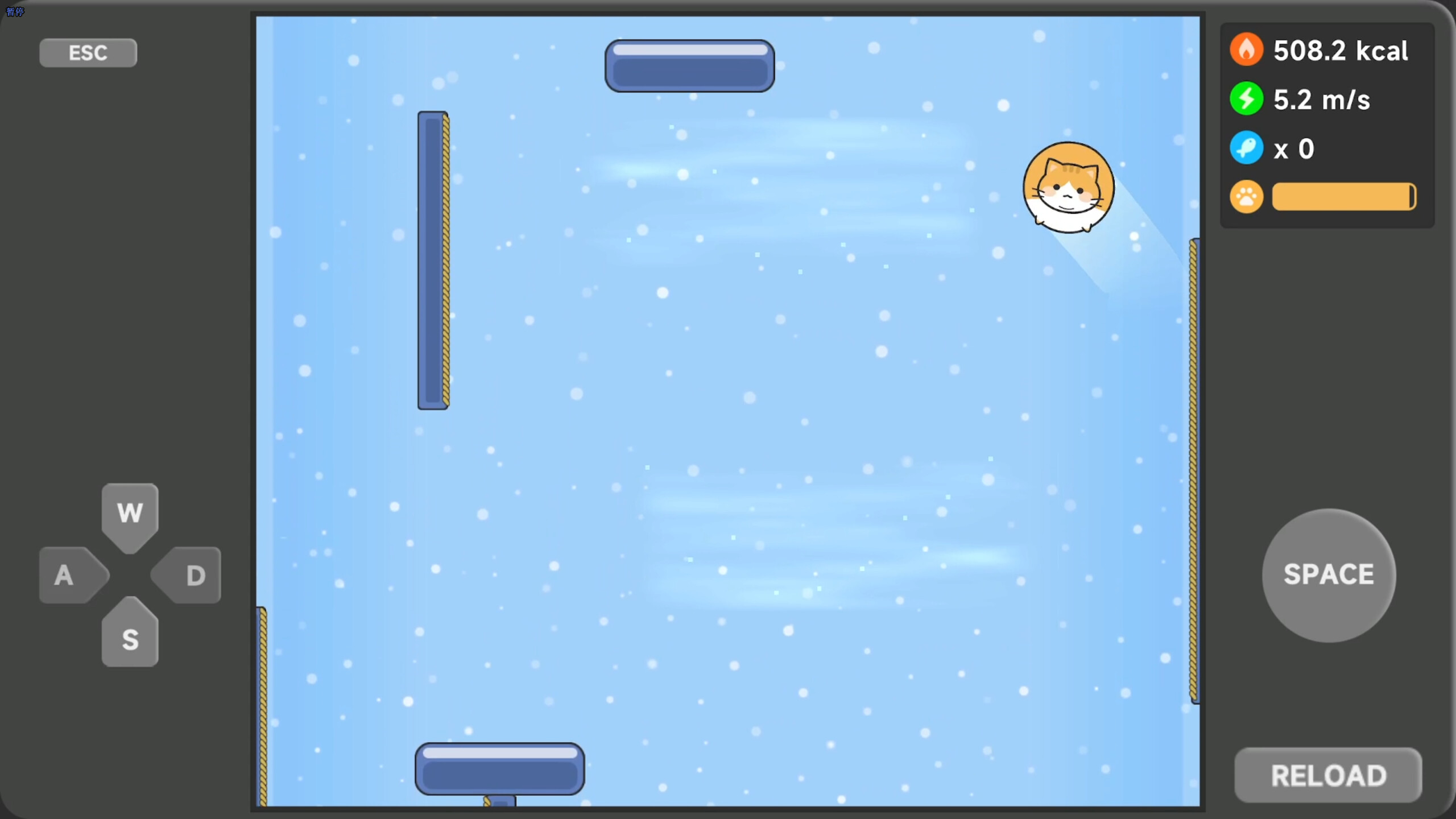 Meow Weight Loss Diary screenshot 4