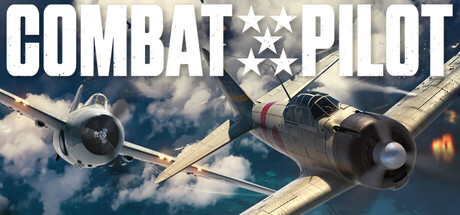 COMBAT PILOT
