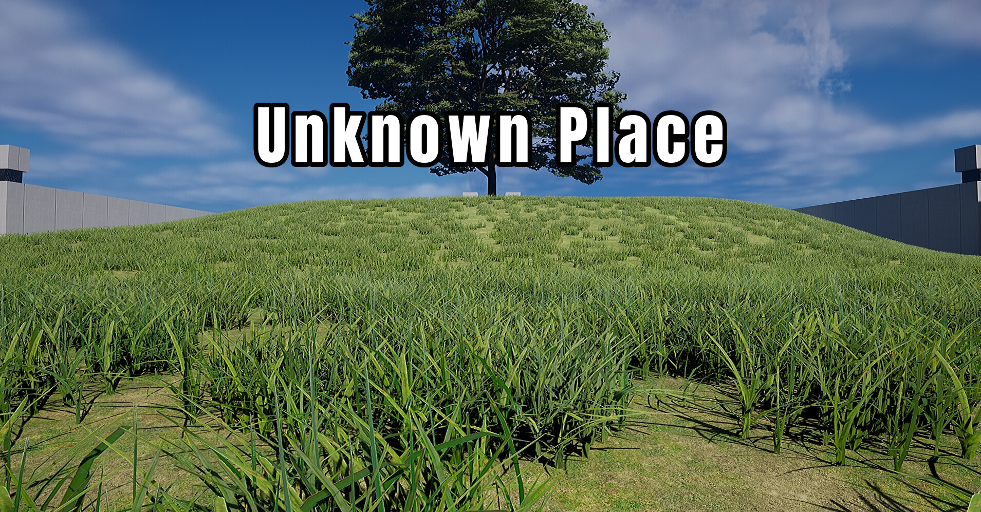 Unknown place trailer