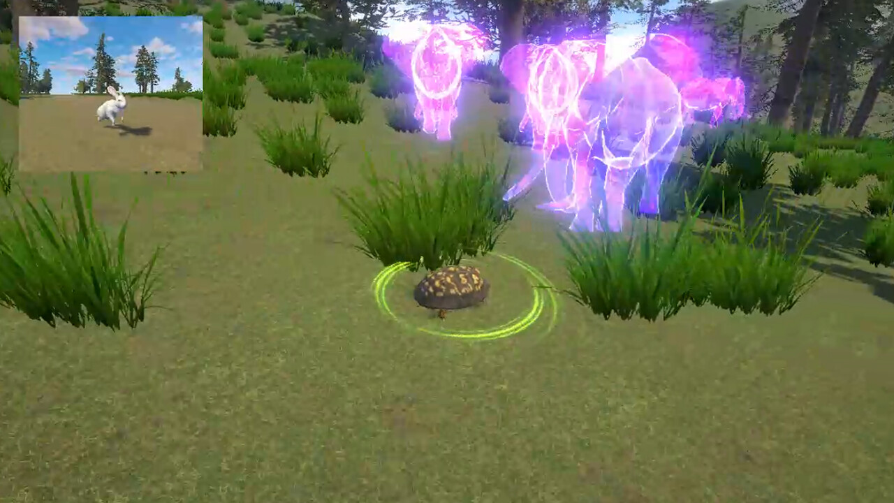 Rabbit and Turtle screenshot 5
