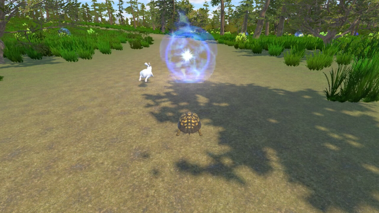 Rabbit and Turtle trailer