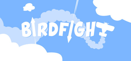 Cover art from birdfight